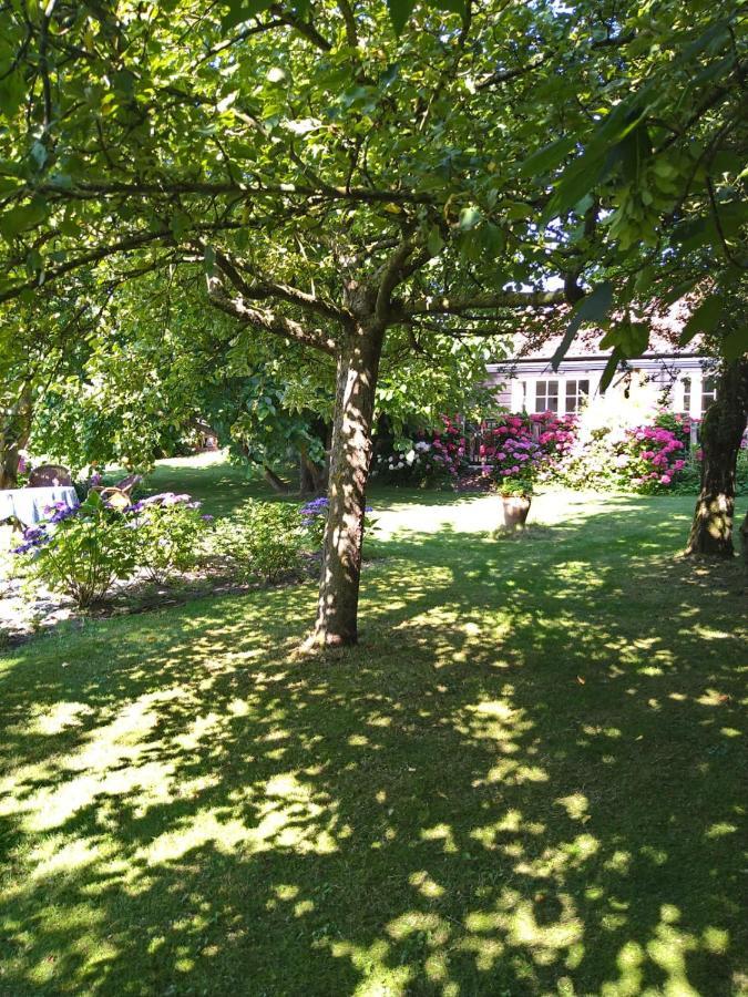 Ouddorp Vakantiehuisje 외부 사진