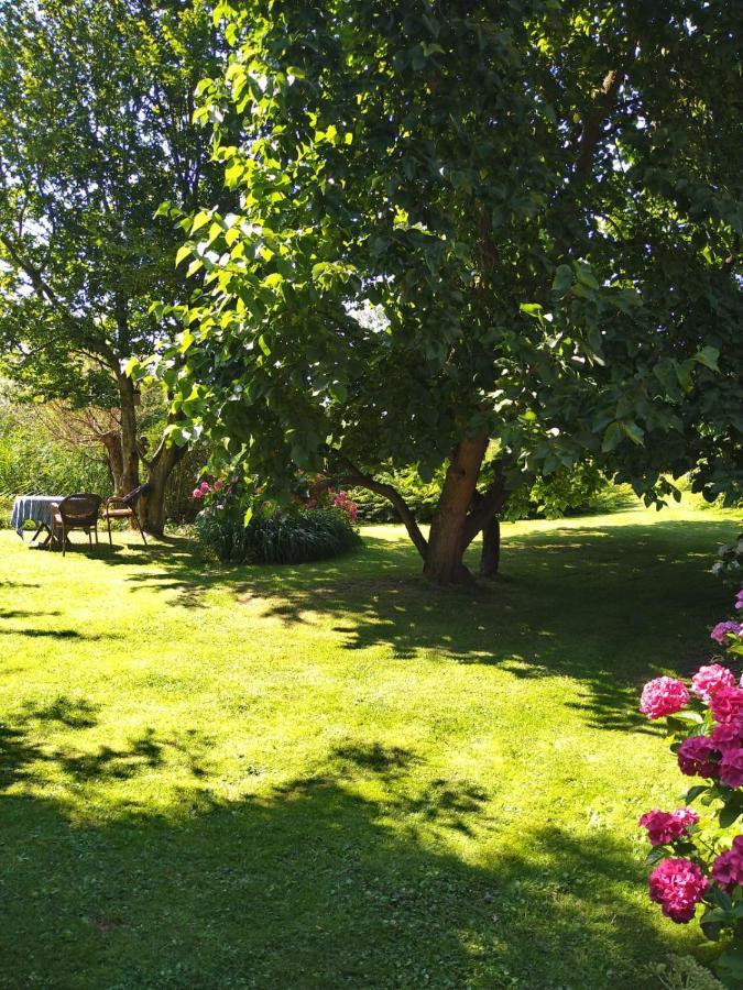 Ouddorp Vakantiehuisje 외부 사진