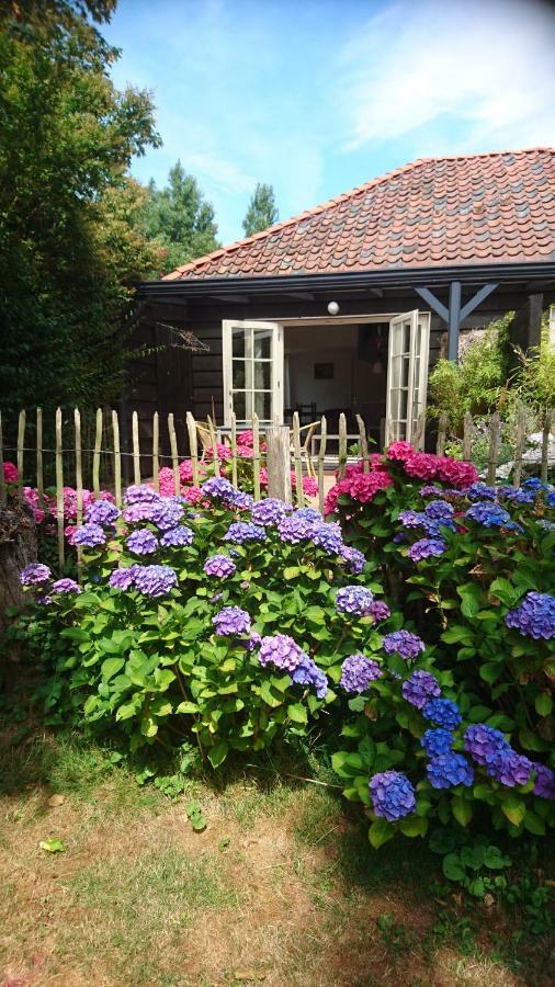 Ouddorp Vakantiehuisje 외부 사진